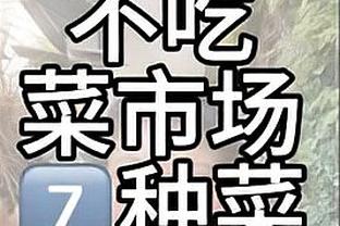 两代药厂头牌？哈弗茨150场46球31助？维尔茨144场40球48助